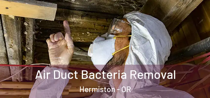  Air Duct Bacteria Removal Hermiston - OR