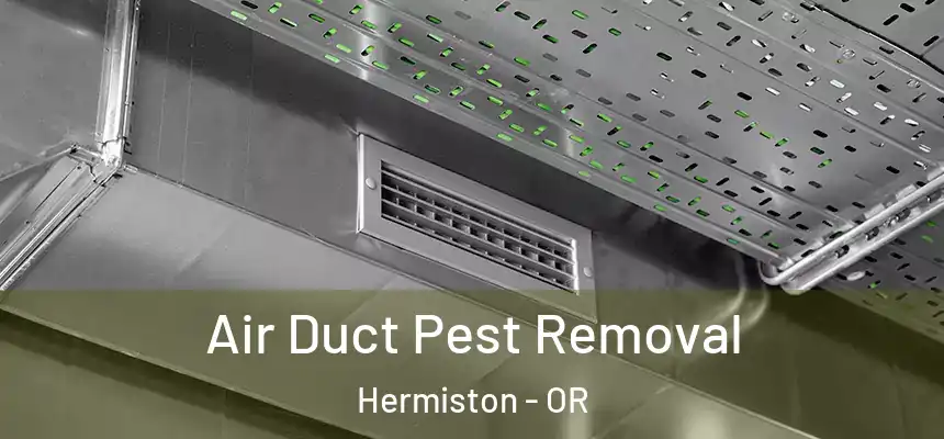  Air Duct Pest Removal Hermiston - OR