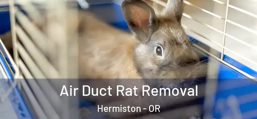  Air Duct Rat Removal Hermiston - OR
