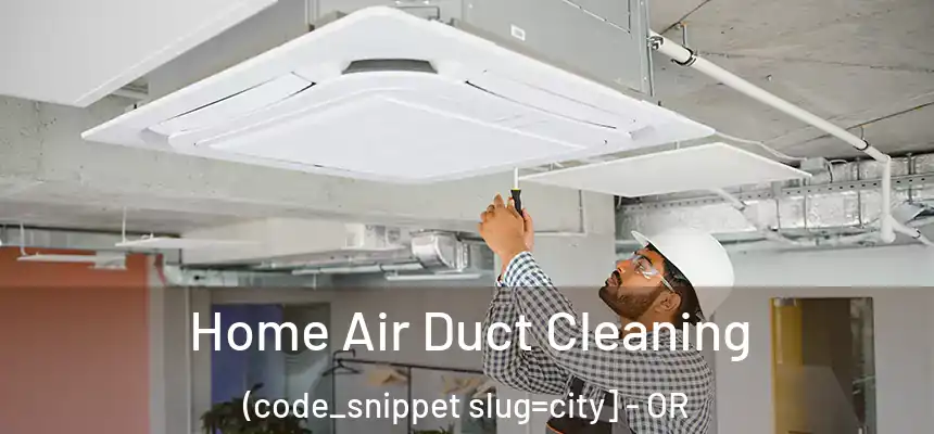  Home Air Duct Cleaning (code_snippet slug=city] - OR