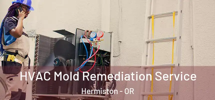  HVAC Mold Remediation Service Hermiston - OR