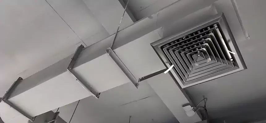 Our Pest Removal From Ducts Services in Hermiston, OR