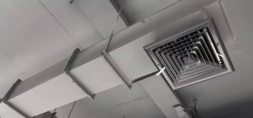 Our Rodent Droppings In Vents Services in Hermiston, OR