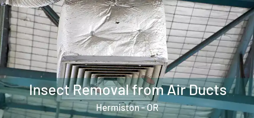  Insect Removal from Air Ducts Hermiston - OR