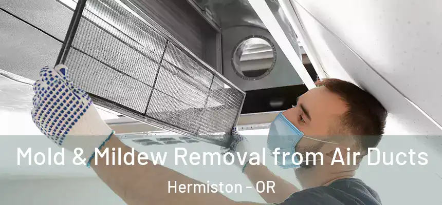  Mold & Mildew Removal from Air Ducts Hermiston - OR