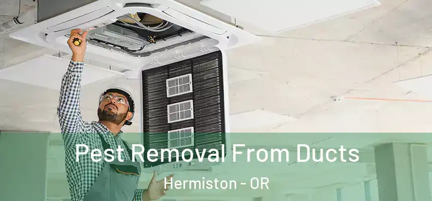 Pest Removal From Ducts Hermiston - OR