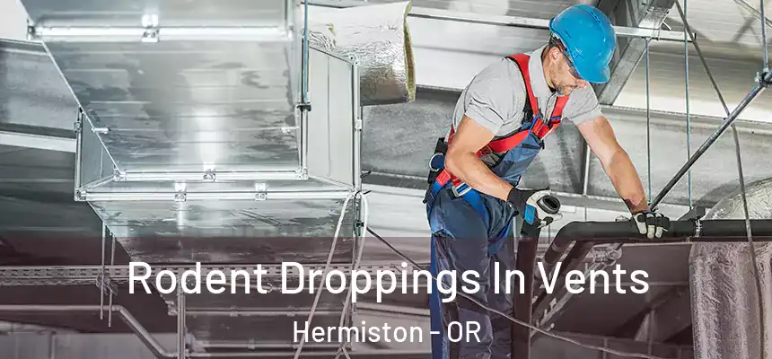  Rodent Droppings In Vents Hermiston - OR