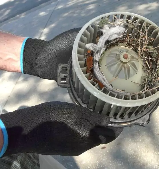 About Air Duct Mice Removal in Hermiston, OR